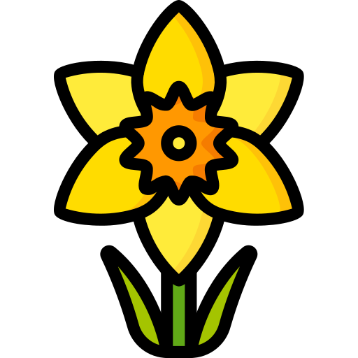 A yellow daffodil.