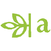 The Ancestry logo of a green leaf and a lowercase A