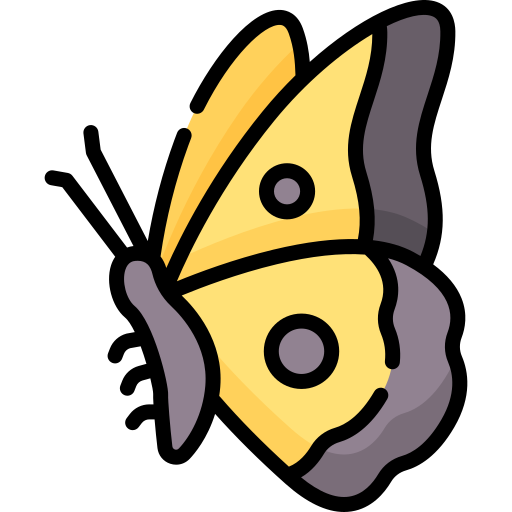 A yellow butterfly.