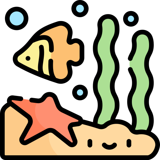 A fish, seaweed, and a starfish.